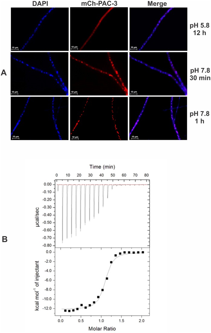 Fig 7