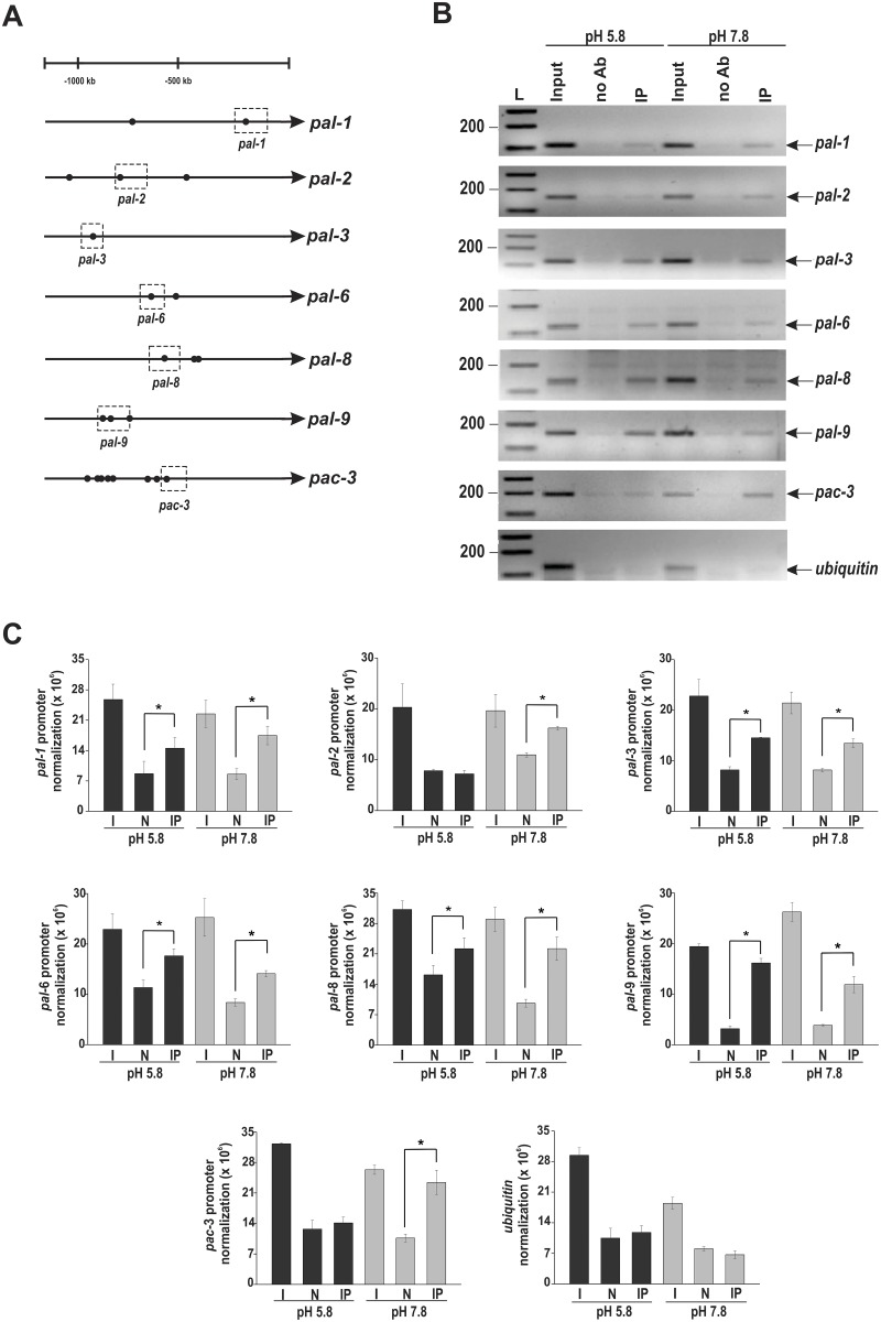 Fig 5