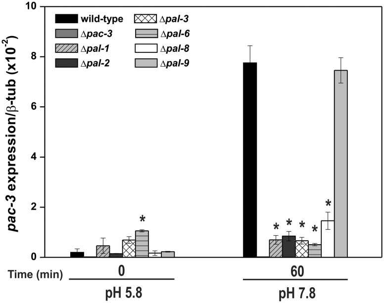 Fig 6