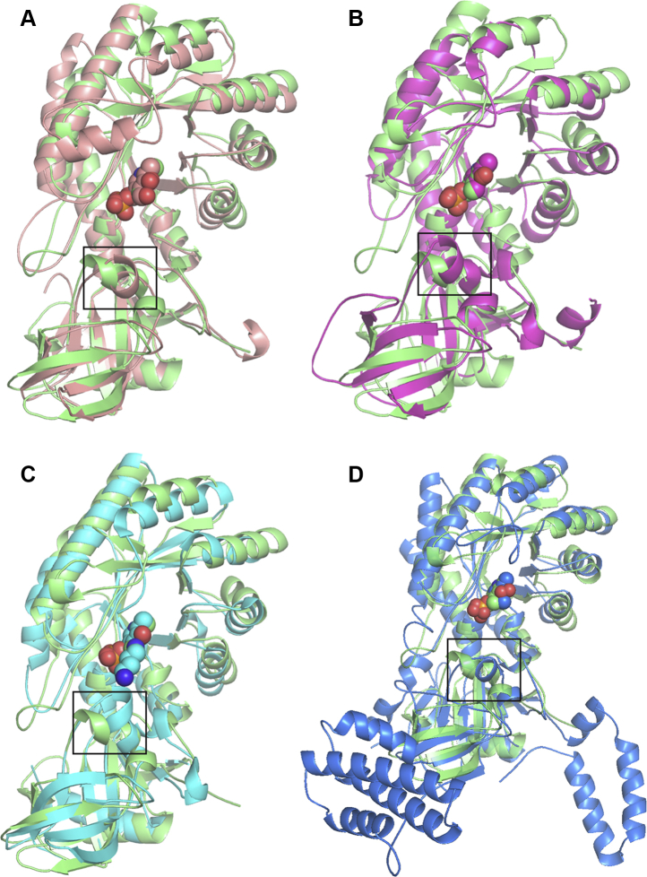 Figure 6