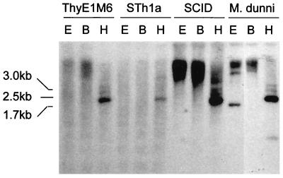 FIG. 5