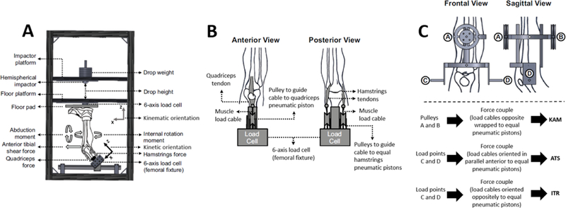 Figure 1: