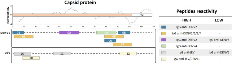 Figure 1