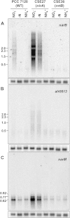 FIG 2