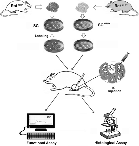 FIG. 3.