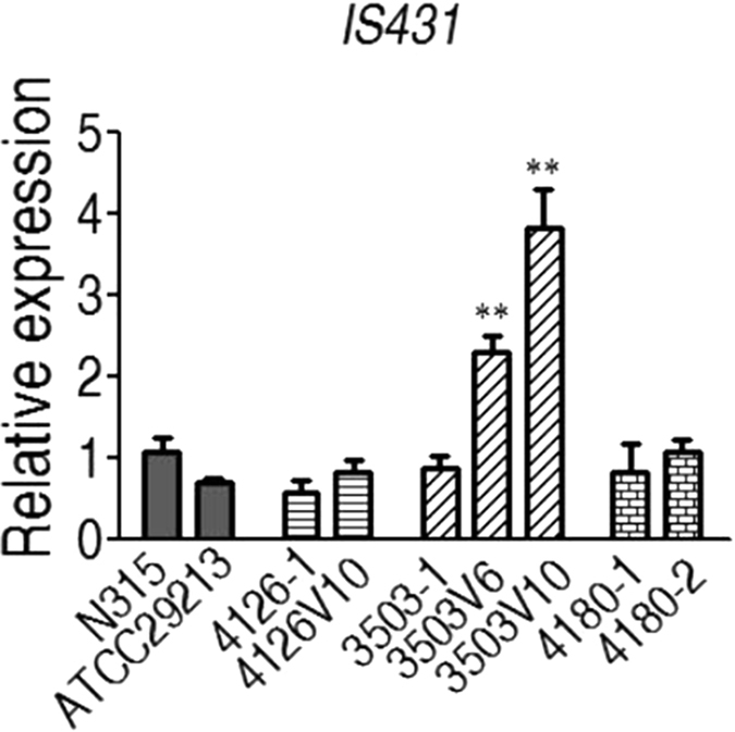 Figure 7