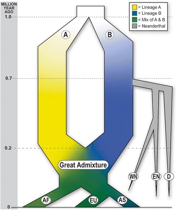 Fig. 8