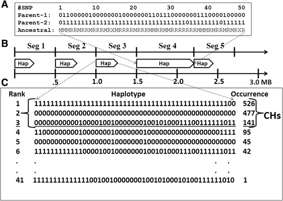 Fig. 1