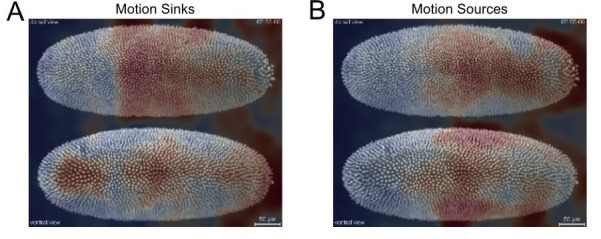 Figure 17.