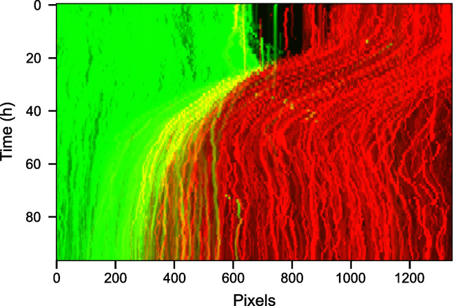 Figure 11.