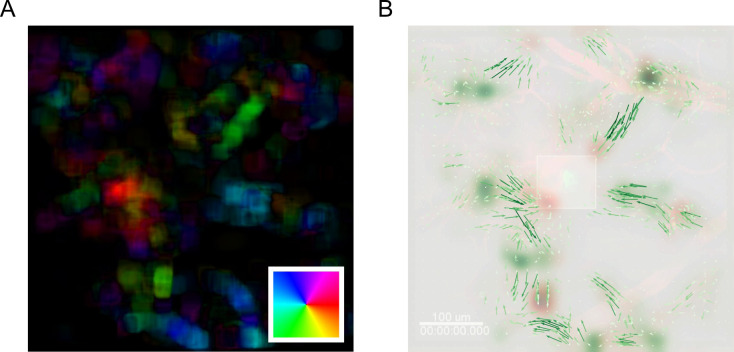 Figure 18.