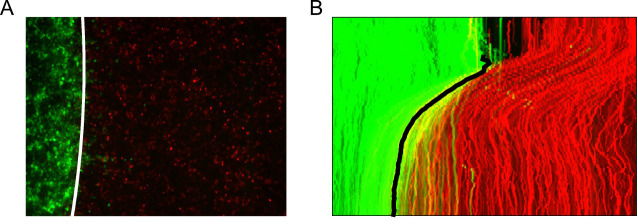 Figure 13.