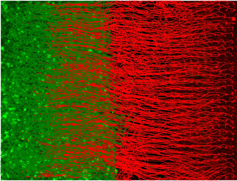 Figure 5.