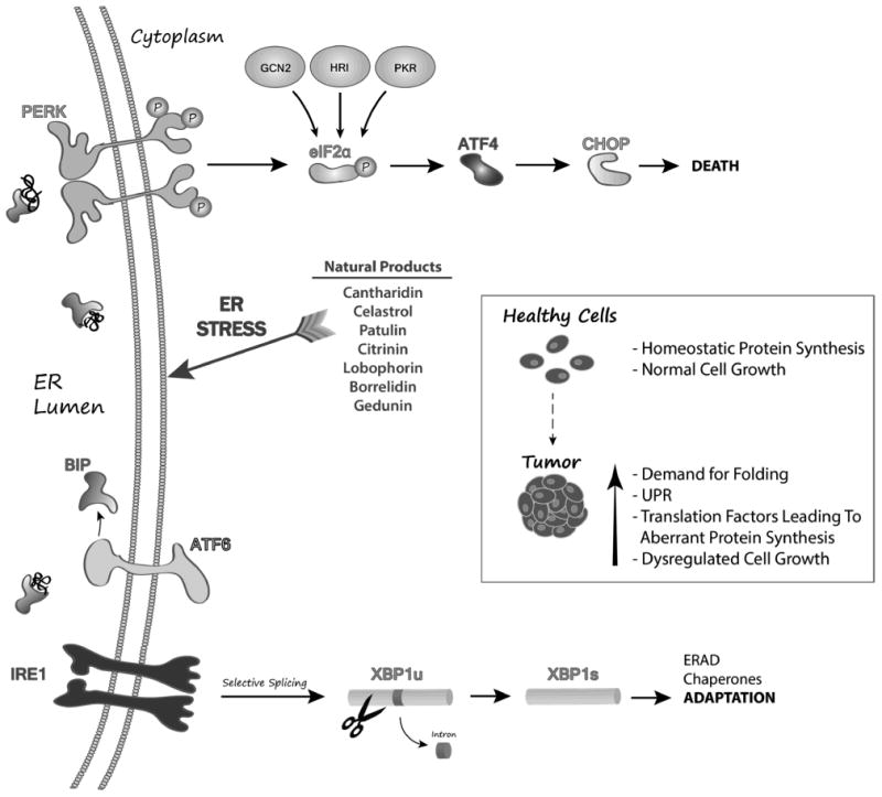 Figure 13