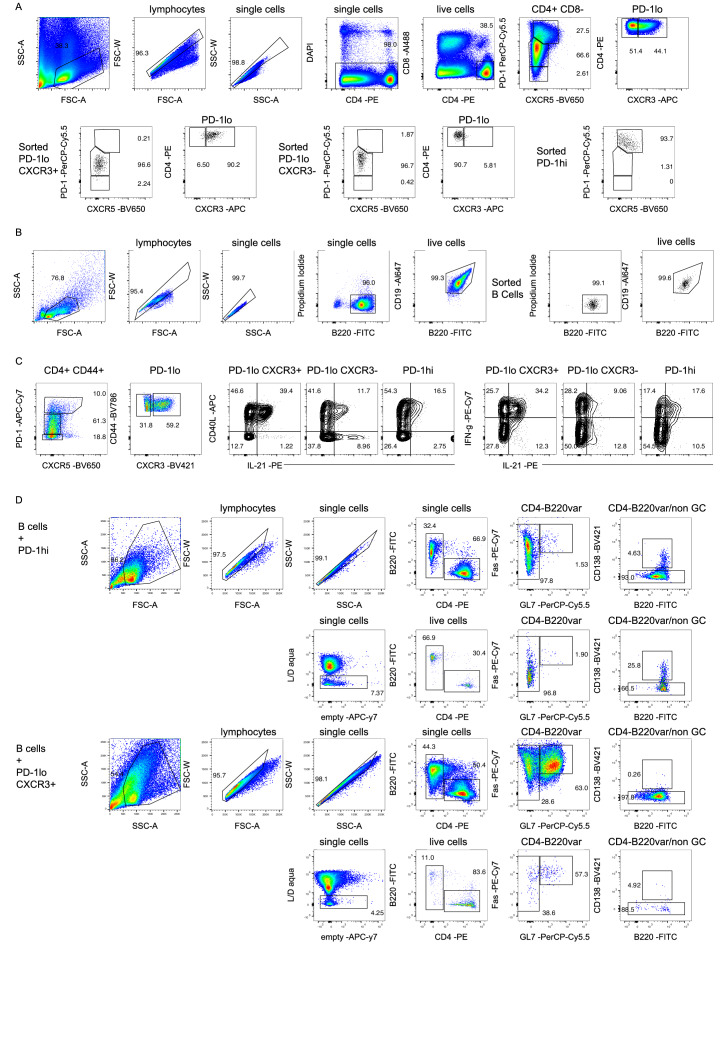 Figure 7—figure supplement 2.