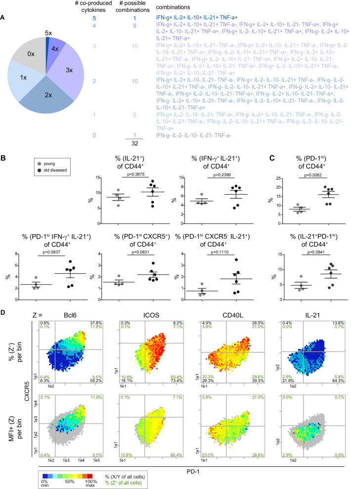 Figure 3—figure supplement 1.