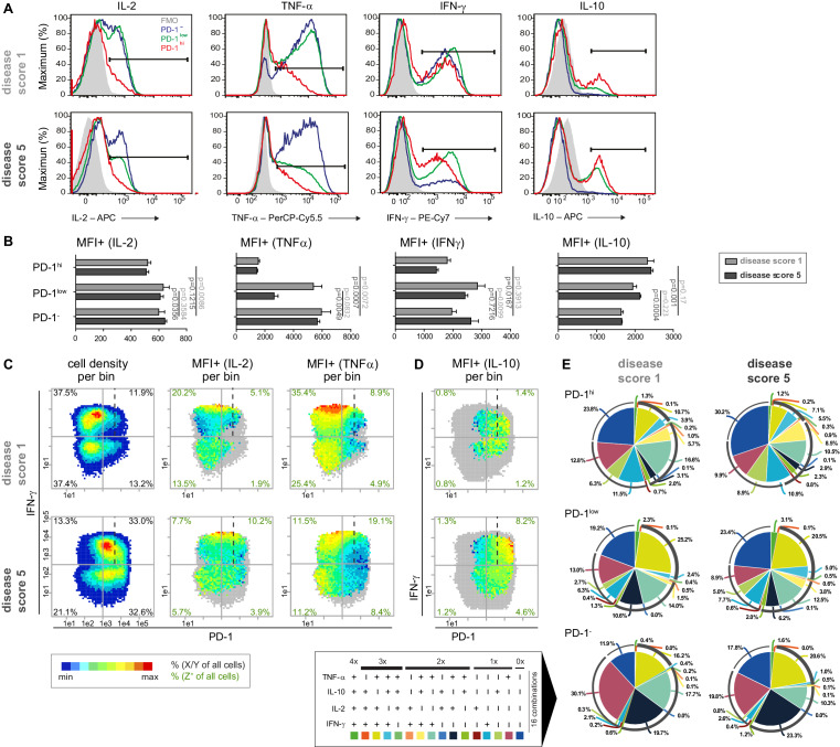 Figure 2—figure supplement 2.