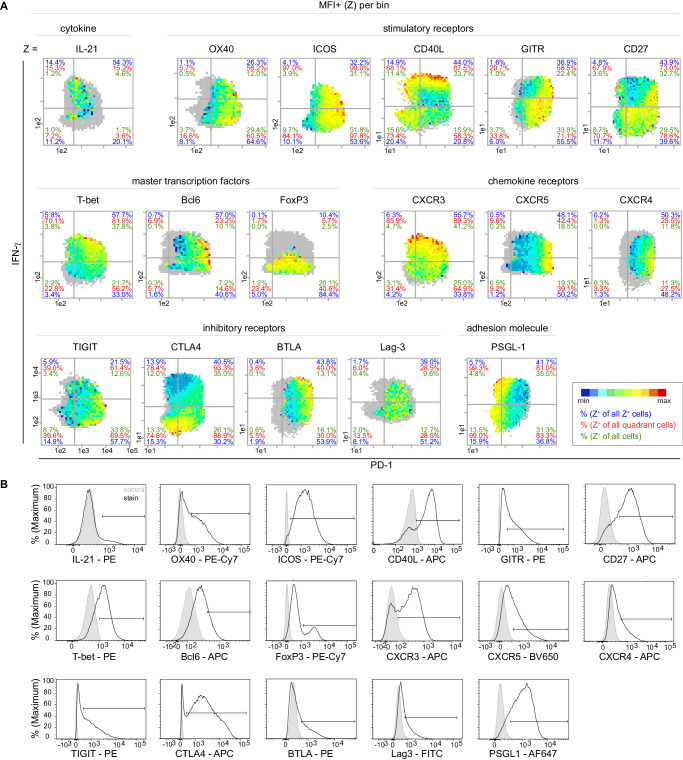 Figure 4—figure supplement 1.