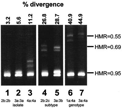 FIG. 6