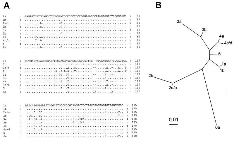 FIG. 1