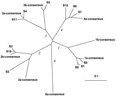 FIG. 5