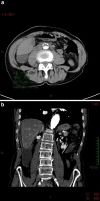 Fig. 3