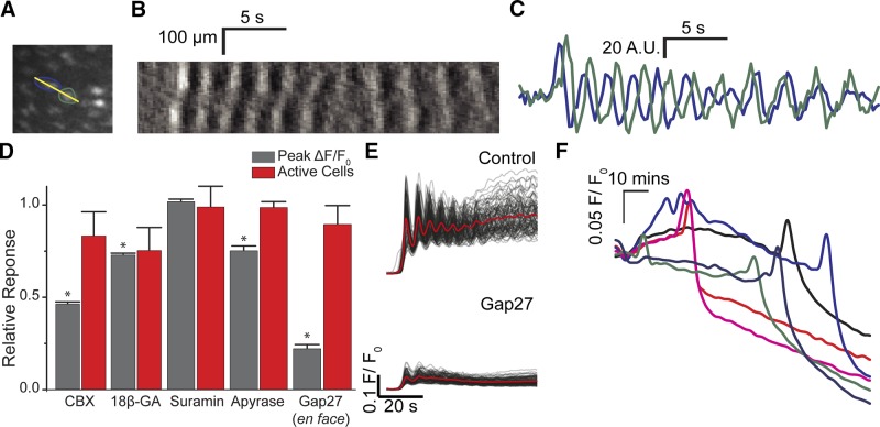 Figure 7.