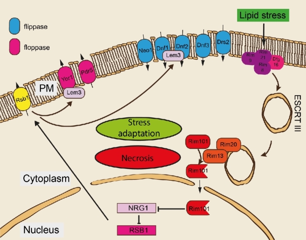 Figure 1.