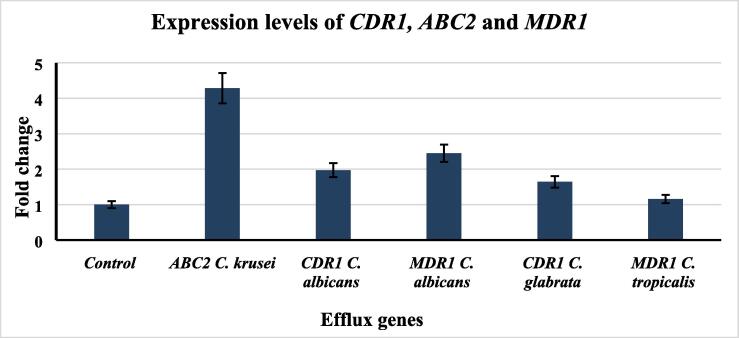 Fig. 2