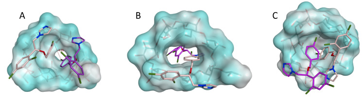 Figure 4