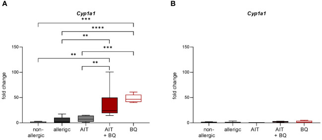 Figure 6