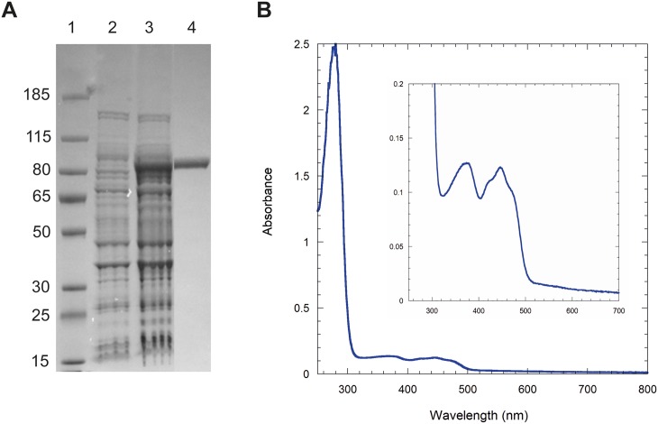 Fig 1