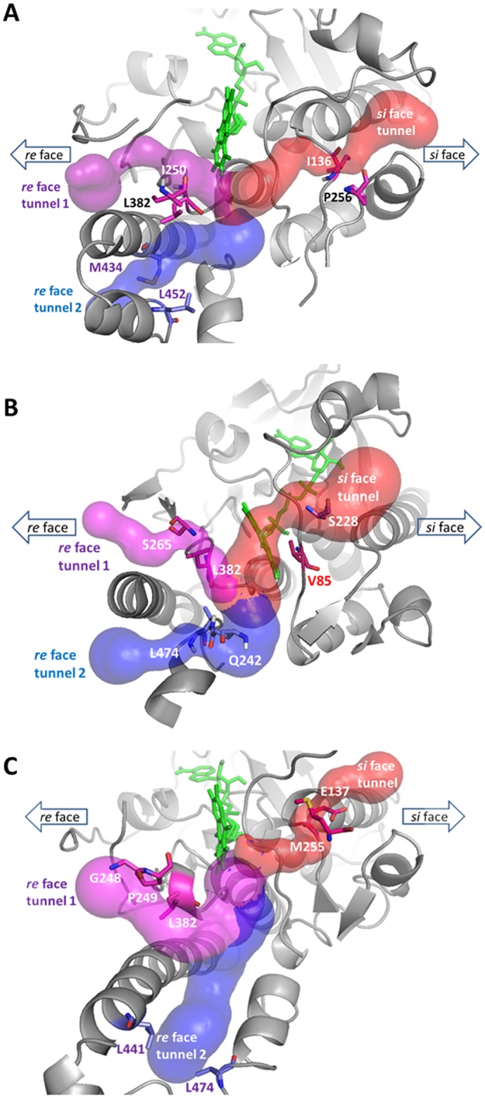 Fig 6