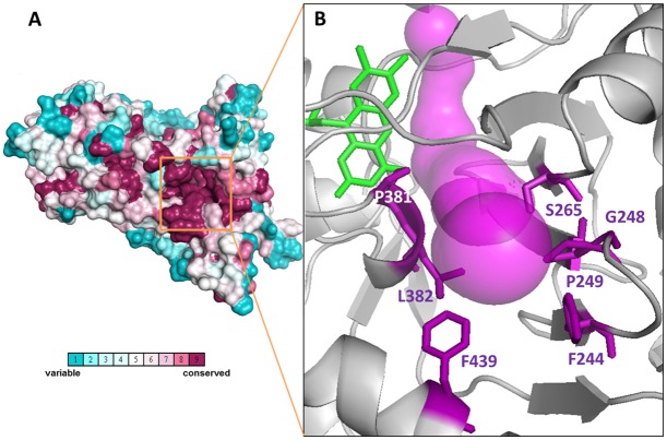 Fig 8