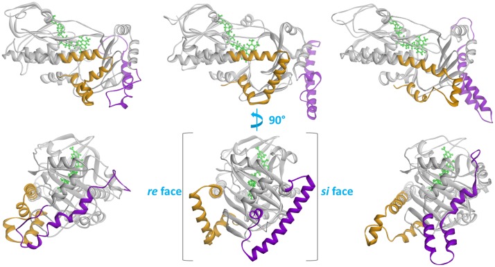 Fig 3