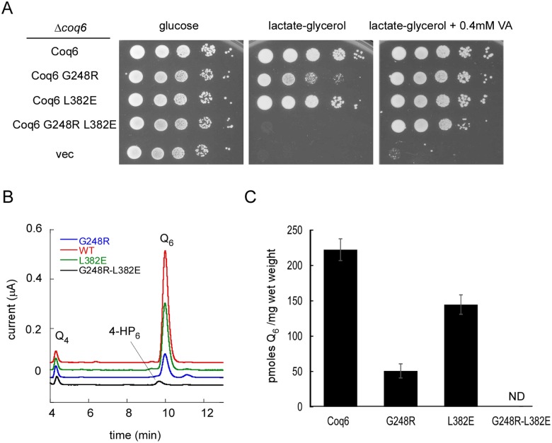 Fig 10