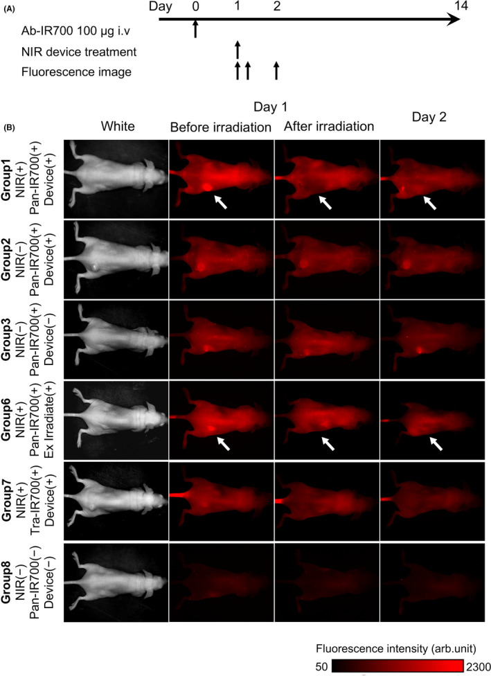 FIGURE 4