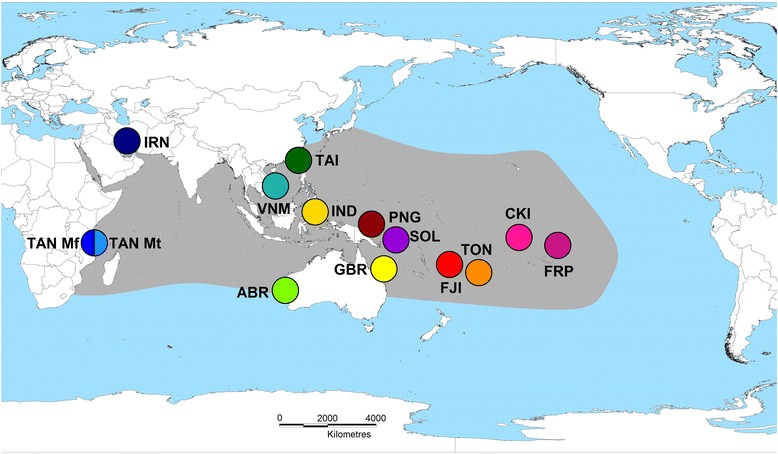 Fig. 1