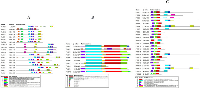 Fig. 3