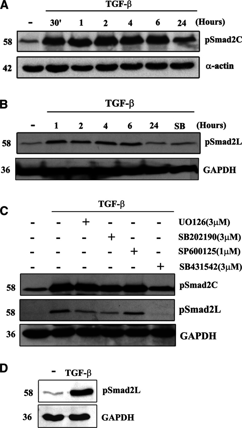 Fig. 6