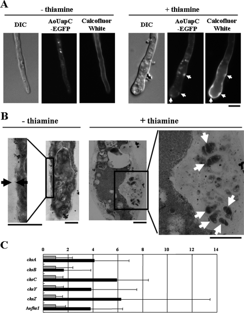 FIG. 7.