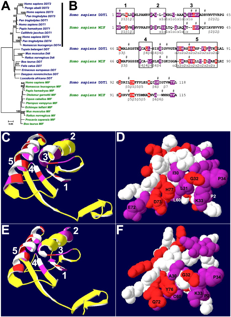 Fig. 3