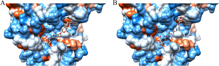 FIG 6