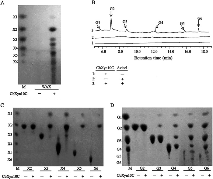 FIG 4