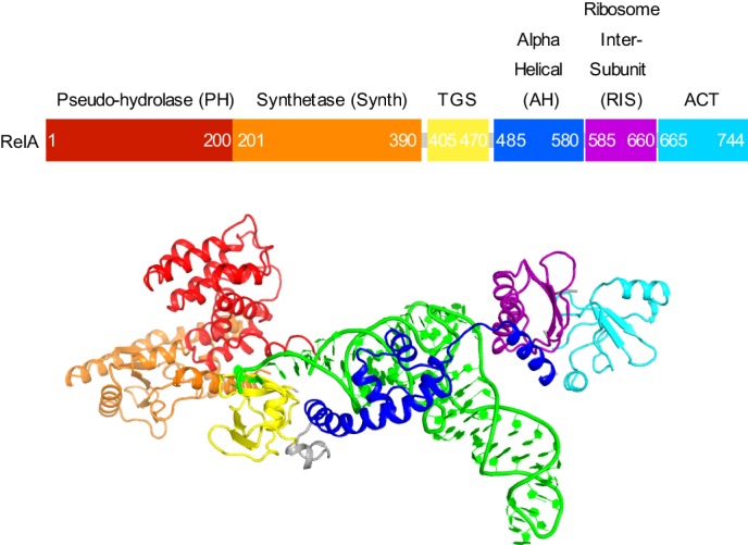 Figure 1—figure supplement 4.