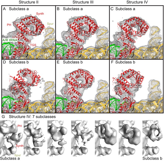 Figure 4—figure supplement 1.