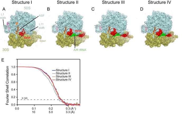 Figure 1—figure supplement 2.