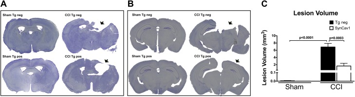 Figure 5.