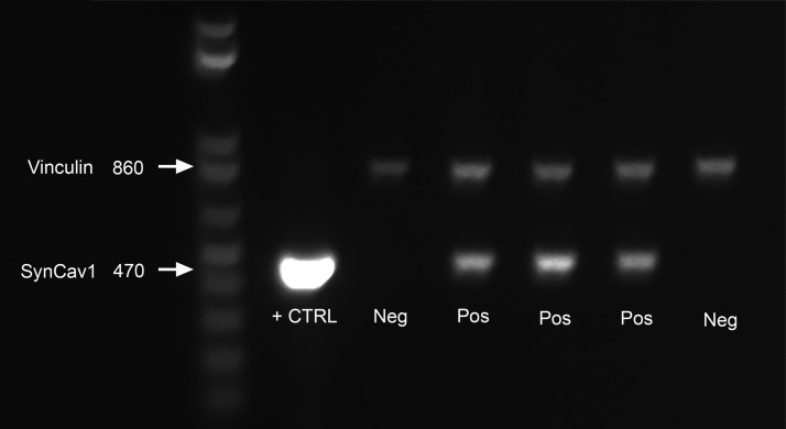 Figure 1.