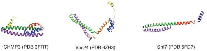 Figure 4—figure supplement 2.